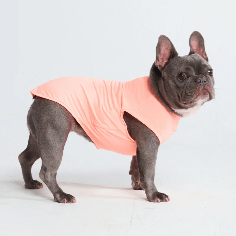 Layered Men's VestsSunblock Dog T-Shirts